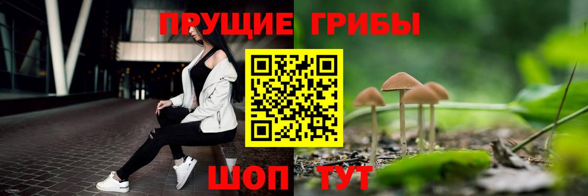 Псилоцибиновые грибы Psilocybe Вольск