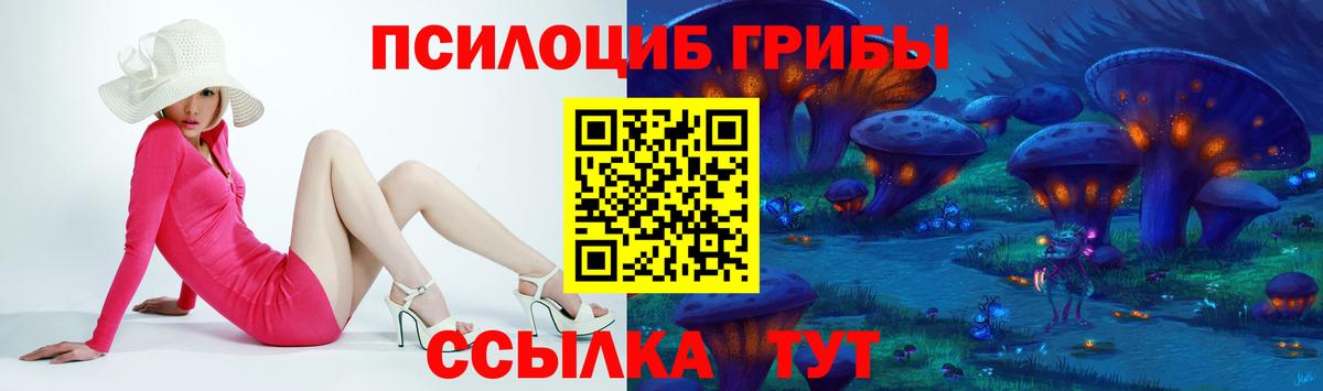 Вольск  Галлюциногенные грибы ЛСД  Вход с VPN 